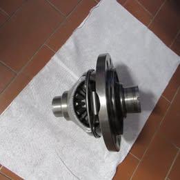 Differenziale originale Renault