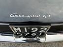 alfa-romeo-altro-versione-giulia-sprint-gt