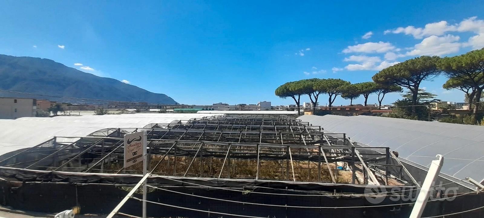 Appartamento – Castellammare di Stabia, Madonna della Libera, Napoli - Vista 5