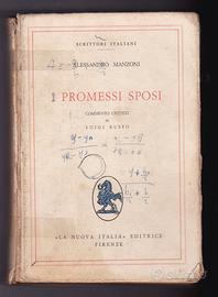 alessandro manzoni i promessi sposi