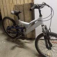 bici da 20"