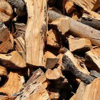 Legna per camino