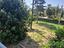 Immagine 21