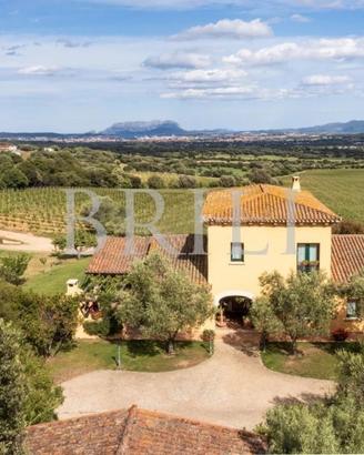 Tenuta Monte Pino - Proprietà di prestigio con