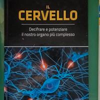 Il cervello 