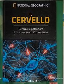 Il cervello 