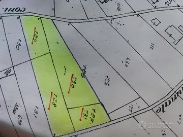 Terreno edificabile lotti