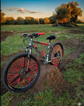 atala replay 27.5 
