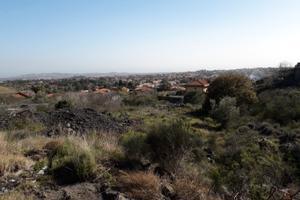 Rif 715Pedara - Terreno Edificabile con Vista Pano