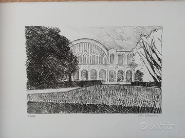 Grafica: Mauro Chessa litografia