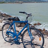 bici uomo
