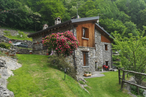 Le Rive nel bosco affitti brevi