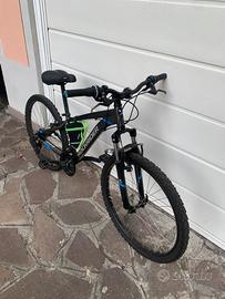 Mountain bike