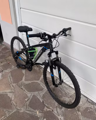 Mountain bike