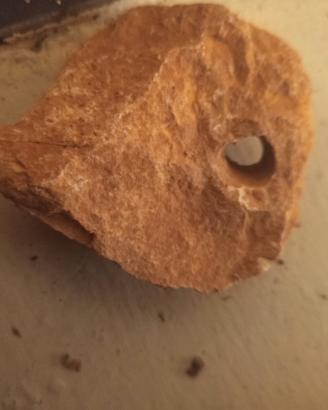 Hagstone pietra forata naturale amuleto pareidolia