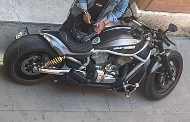 Harley V road  1130