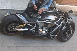 Harley V road  1130