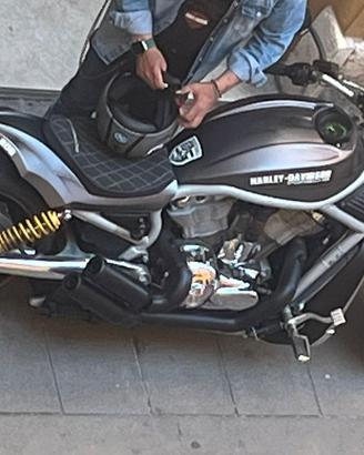 Harley V road  1130