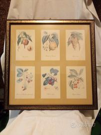 Quadro di frutti