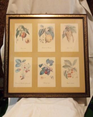 Quadro di frutti