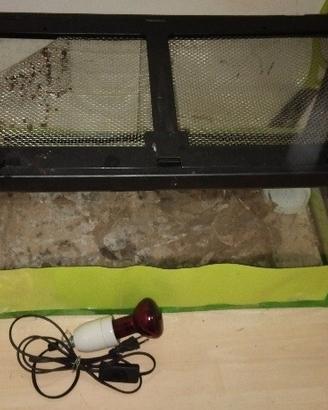 Terrario rettilario in vetro (per tartarughe o ret