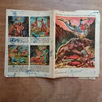 Quaderni scolastici Jolly Durbans