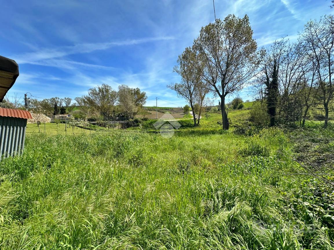 VILLA SINGOLA A SAN GIOVANNI IN MARIGNANO - Altro