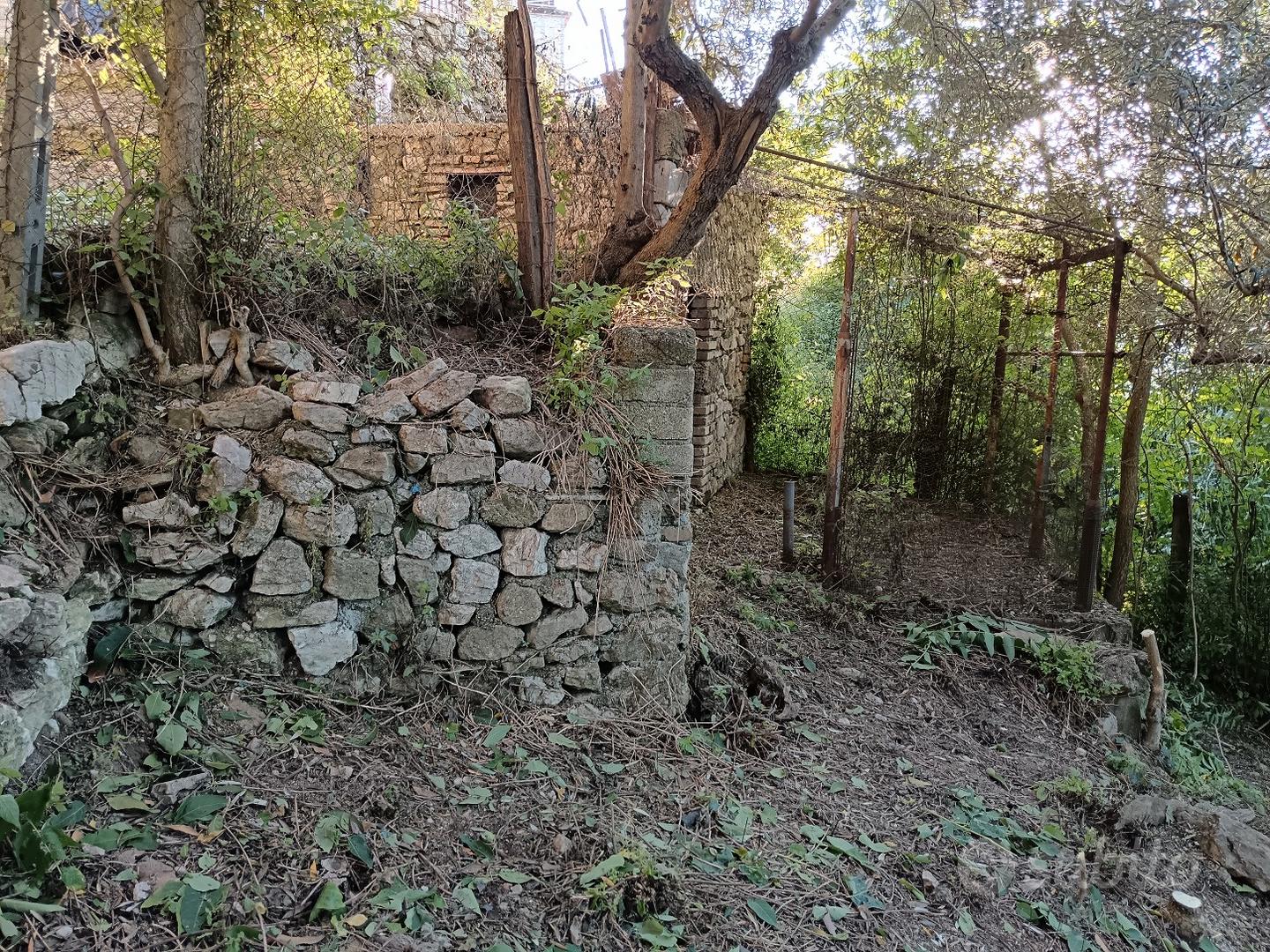 A 50 KM DA ROMA RUSTICO CON PICCOLO TERRENO - Vista 4