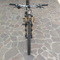 MTB Primal