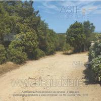 Terreno Agricolo Arzachena [A4343975]