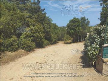 Terreno Agricolo Arzachena [A4343975]