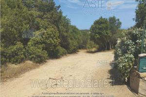 Terreno Agricolo Arzachena [A4343975]