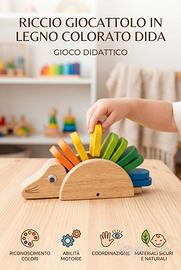 Riccio giocattolo in legno colorato DIDA gioco did