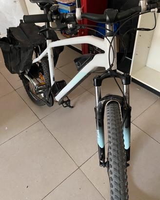 Coppia E/bike  bianche perfette