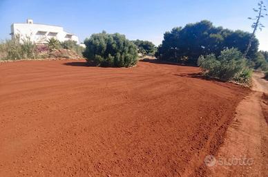 Terreno Agricolo Marsala [31/26VRG]