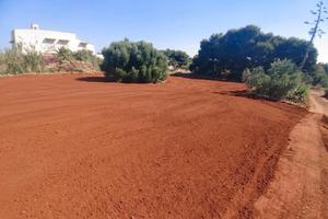 Terreno Agricolo Marsala [31/26VRG]