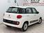 Immagine 8