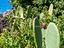 Immagine 26