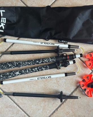 BASTONCINI LEKI SKYSOLO FX CARBON