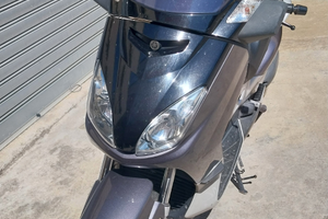 Xmax 250