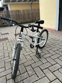 Bicicletta