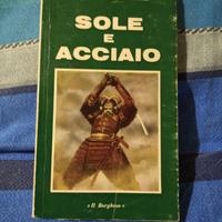 Sole Acciaio Mishima Giappone Borghese