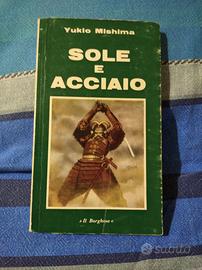 Sole Acciaio Mishima Giappone Borghese