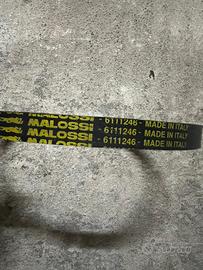 Cinghia malossi zip Sp braccio corto