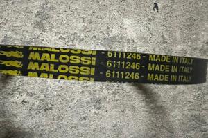 Cinghia malossi zip Sp braccio corto