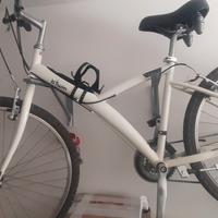 mtb da donna