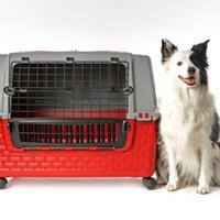 Trasportino  per cani XL