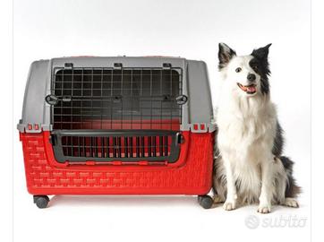 Trasportino  per cani XL