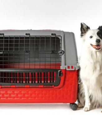 Trasportino  per cani XL