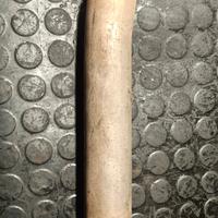 elimina catalizzatore Clio Williams 